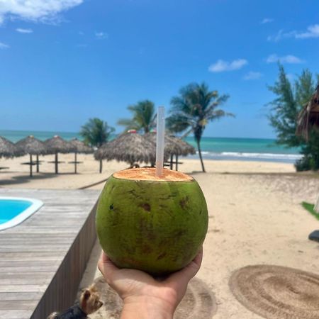 Camozen Resort & Spa Camocim Bagian luar foto
